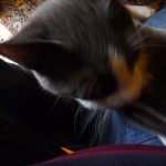 P1010989